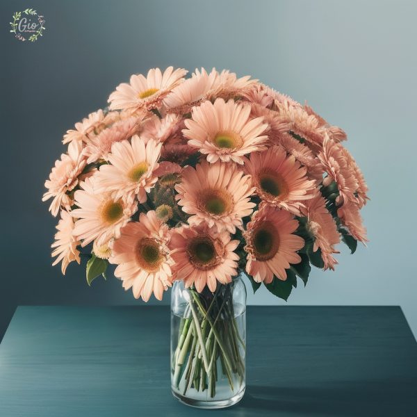 Bouquet de gerberas pastel