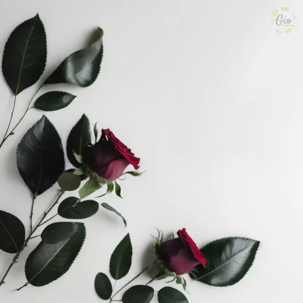 ramo de 3 rosas rojas con paniculata